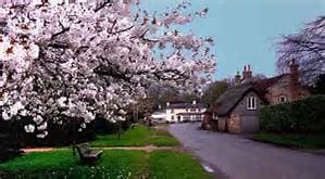 Spring Has Sprung
