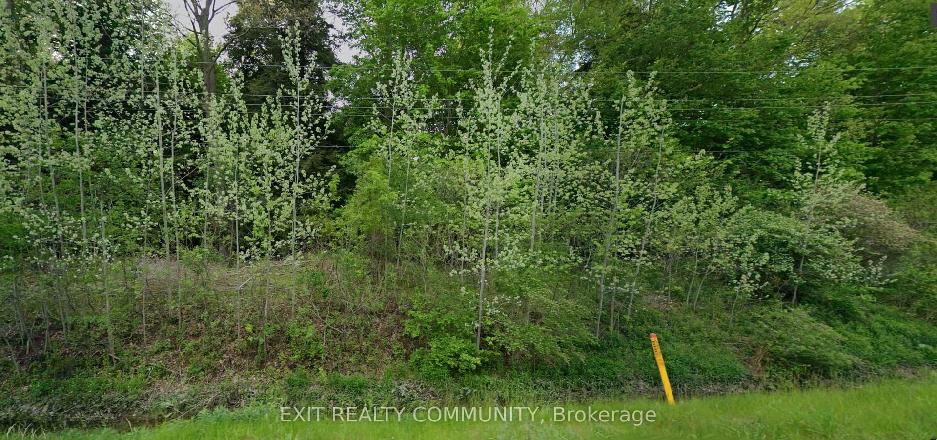 9800 Oxbow Drive, Middlesex Centre, ON N0L 1R0